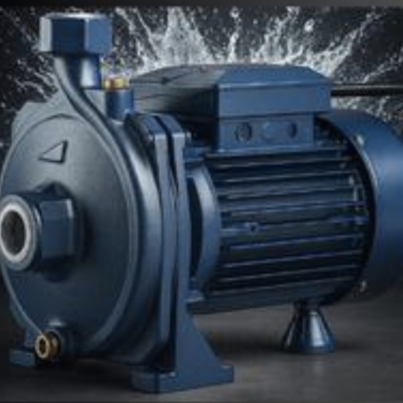 پمپ آب ۱ اسب بشقابی کارو پروانه استیل مدل IM100_SS