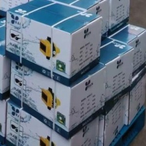 ست کنترل راین دو کابل