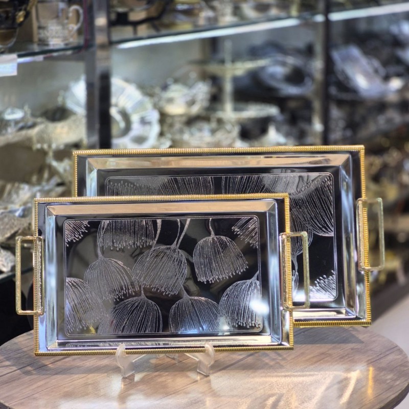 سینی استیل ۲تیکه خارجی moliner