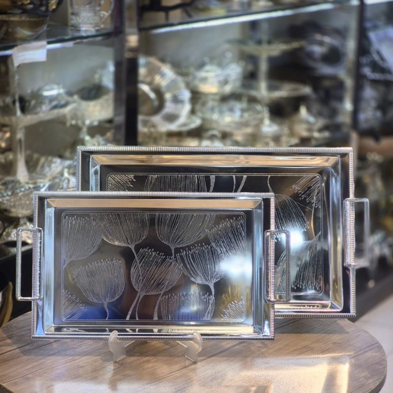 سینی استیل ۲تیکه خارجی moliner