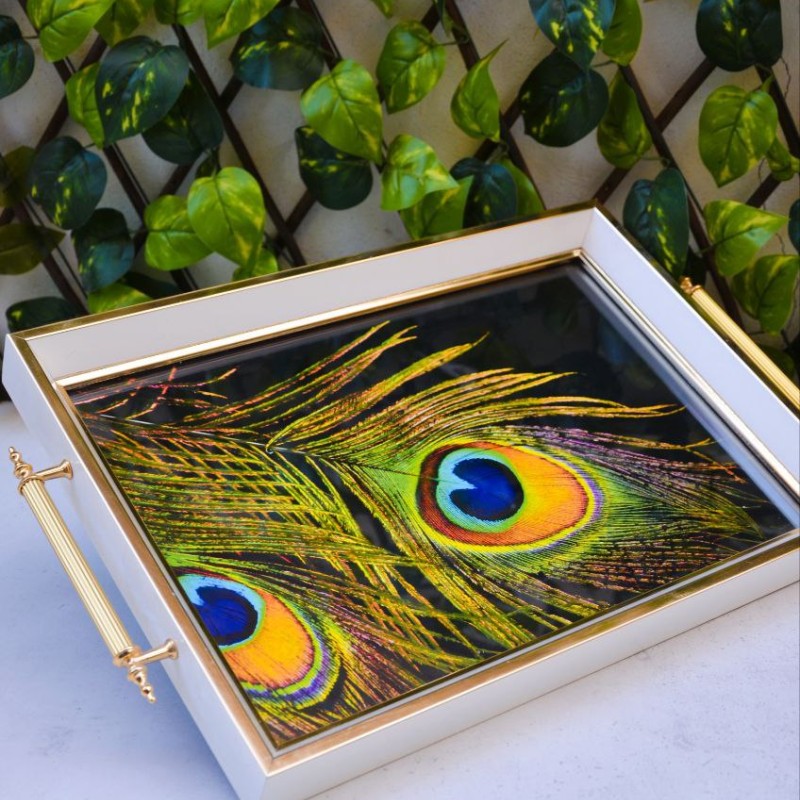 سینی پذیرایی  محصول Kosova ترکیه