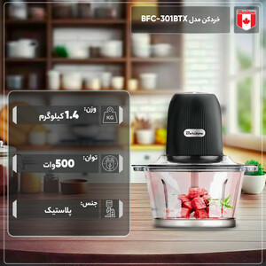 خردکن باریتون مدل BFC-3501BTX