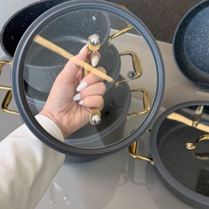 سرویس قابلمه آلما ۱۴پارچه با درب سيليكونى دستگیره نقره ای