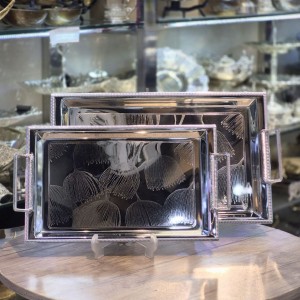 سینی استیل ۲تیکه خارجی