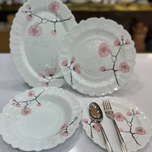 سرویس 25 پارچه ایروپال