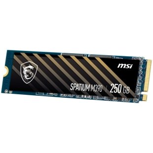حافظه اس اس دی MSI SPATIUM M390 250GB