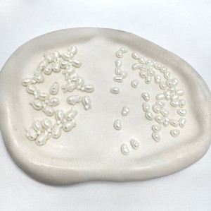 مهره صدفی(۳)