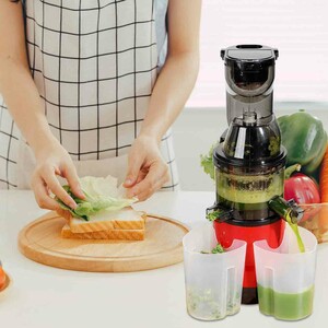 آبمیوه گیری Slow Juicer مدل YX01 ظرفیت 1000 میلی‌لیتر و توان 500 وات