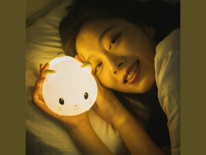 چراغ خواب فانتزی رومیزی قابل شارژ Silica gel night light cute cat