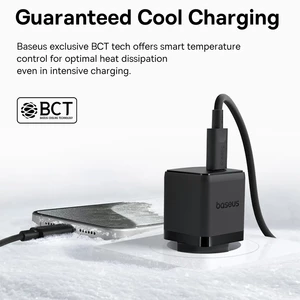 شارژر دیواری بیسوس Palm CCZC20CE توان 20 وات