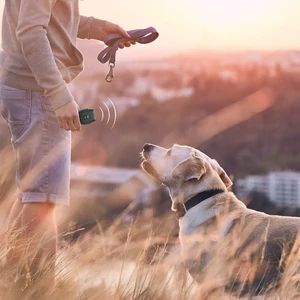 دور کننده حیوانات اولتراسونیک گرین لاین Green Lion Ultrasonic Pet Shield GL-DT10