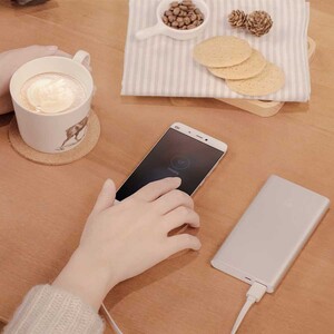 Xiaomi-Mi-Power-Bank-2-PLM02ZM-10000-6