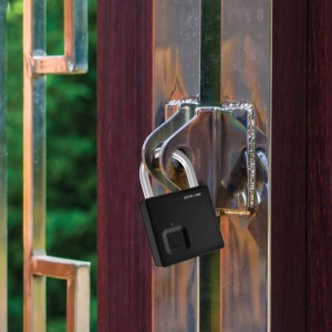 قفل اثر انگشتی گرین لاین Green Lion Fingerprint Padlock