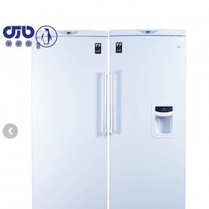یخچال و فریزر دوقلو پارس مدل LRDST170WD-FRZNF170