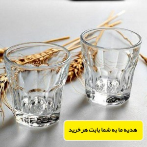 میکس فول کافئین 100 % روبستا