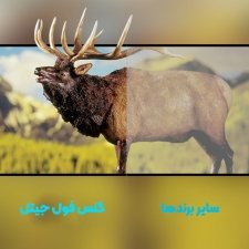 گلس تمام صفحه مناسب برای گوشی ONE PLUS 5