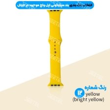 بند سیلیکونی سایز 42 میلی متر مناسب برای اپل واچ سری های 1 ، 2 ، 3 ، 4 ، 5 ، 6se و 7