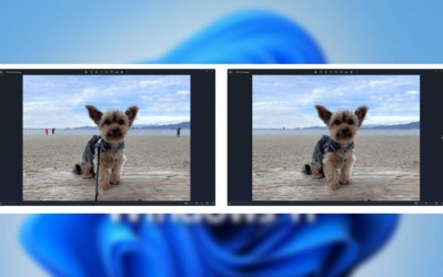 مایکروسافت قابلیت حذف اشیاء و اشخاص یک تصویر را به ویندوز 11 اضافه کرد