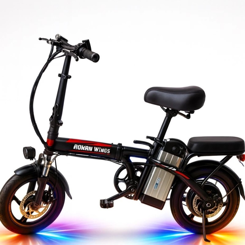 دوچرخه برقی روهان وینگز