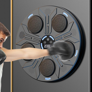 کیسه بوکس هوشند دیواری موزیکال  Intellegent Music Boxing Target