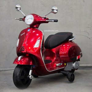 موتور شارژی پاکشتی بچه گانه مدل LB844