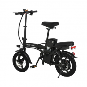 دوچرخه برقی گرین لاین Green Lion Electric Bike GBK-100 a