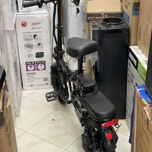 دوچرخه برقی گرین لاین Green Lion Electric Bike GBK-100 a