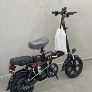 دوچرخه برقی WINNER SKY K10