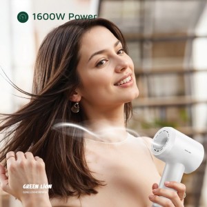 سشوار گرین لاین مدل لوکس ایر Green lion Luxair