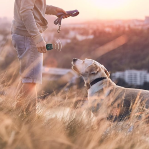 ریموت دور کننده حیوانات گرین لاین Green Lion Ultrasonic Pet Shield