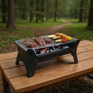 باربیکیو تاشو گرین لاین مدل GNQDRBBQSTBK