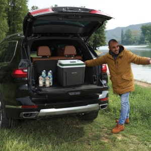 یخچال مسافرتی 25 لیتری گرین لاین مدل GNHITLCOOLBK