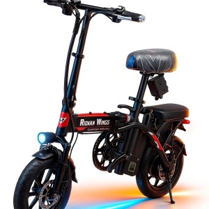 دوچرخه برقی روهان وینگز