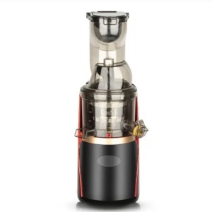 عصاره گیر راف مدل  R.2831