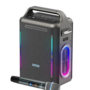 اسپیکر شارژی 300 وات پاورولوژی Powerology Karaoke Party Speaker PW013