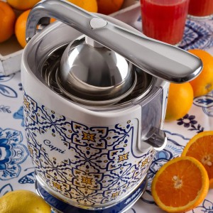 اب مرکبات گیری اریته مدل Capri 0413