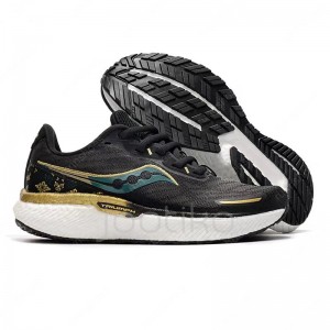 ساکنی ترایامف Saucony Triumph 19