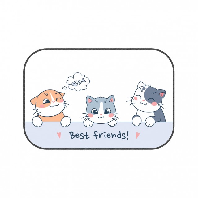 مت ظرف آب و غذای سگ و گربه