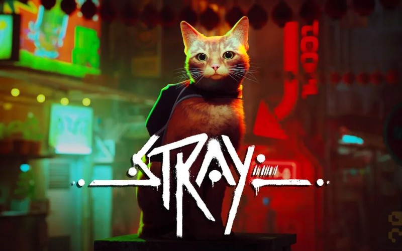 بازی ویدیویی Stray