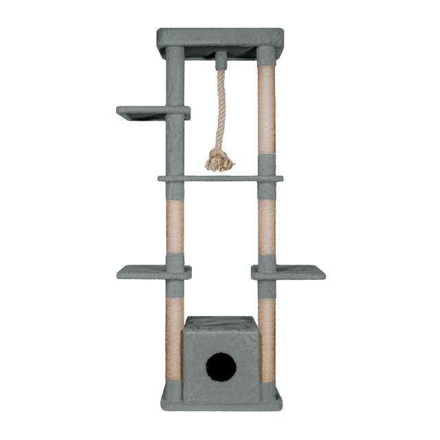 اسکرچر گربه مدل کنجی