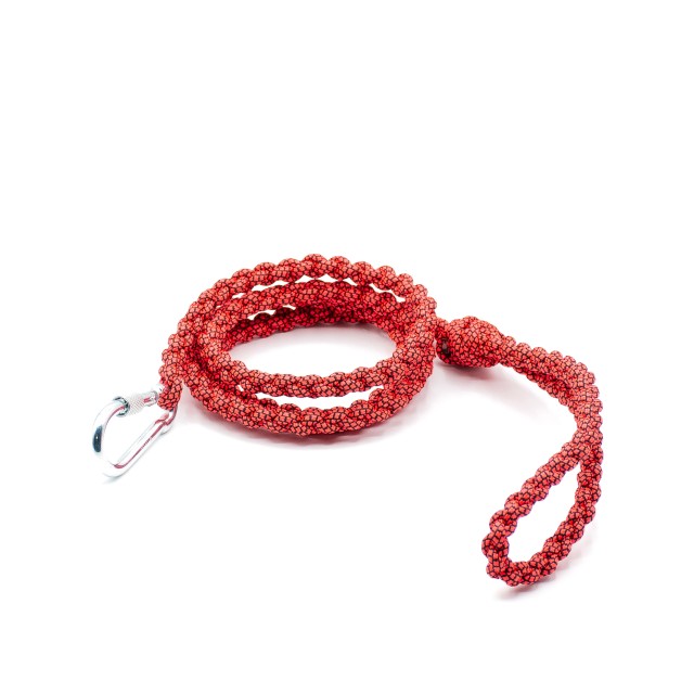 لیش پاراکوردی سگ سایز 2