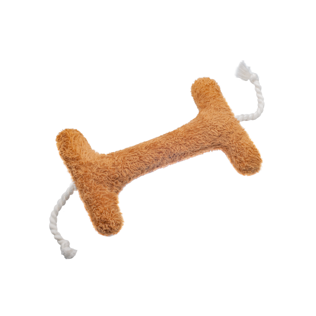 استخوانی پولیشی سگ