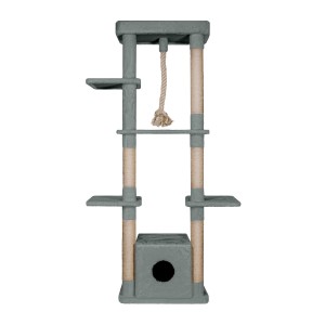 اسکرچر گربه مدل کنجی