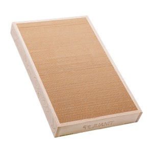 اسکرچر مقوایی گربه مدل کوکی