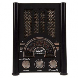 رادیو ان ان اس مدل NS-Q18BT