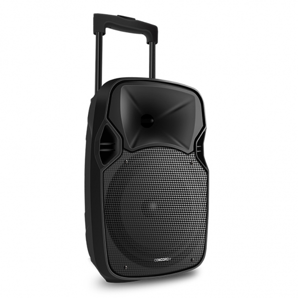 اسپیکر چمدانی کنکورد پلاس مدل  TS-F810