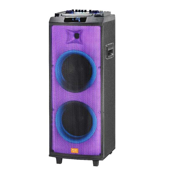 اسپیکر دیجی شارژی مکسیدر مدل CN 1001