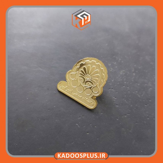 بج سینه دانشگاه صنعتی امیرکبیر