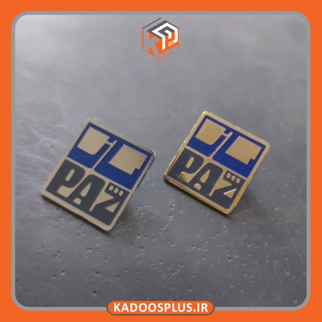 بج سینه شرکت پاز