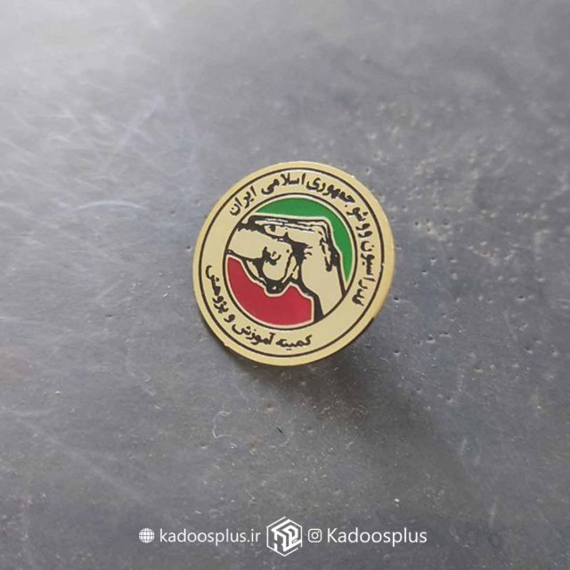 بج سینه فدراسیون ووشو